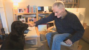 Dementia dog Lenny opens up ‘whole new world’ for owner