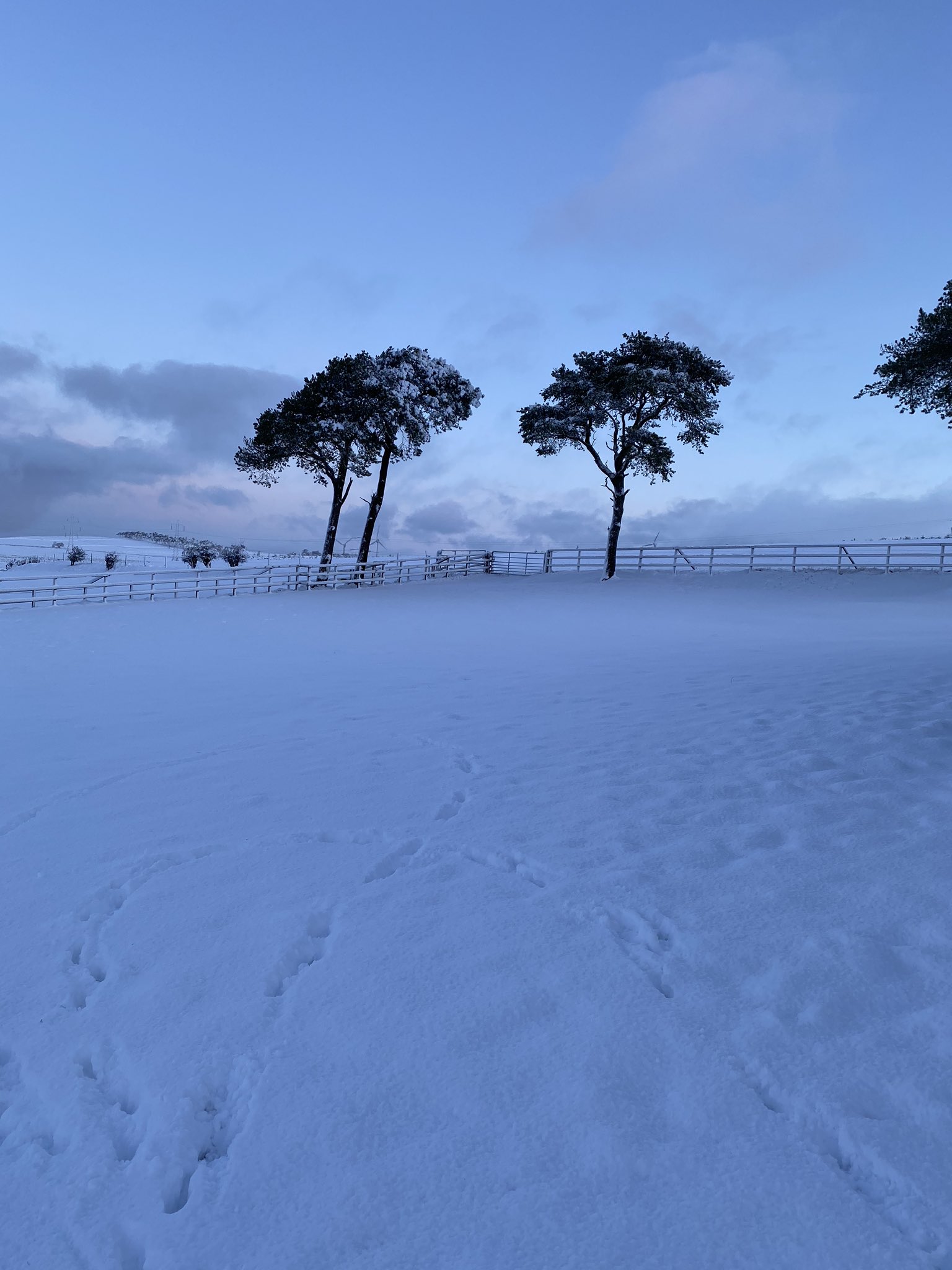 Snow in Lesmahagow by Jane Aird.