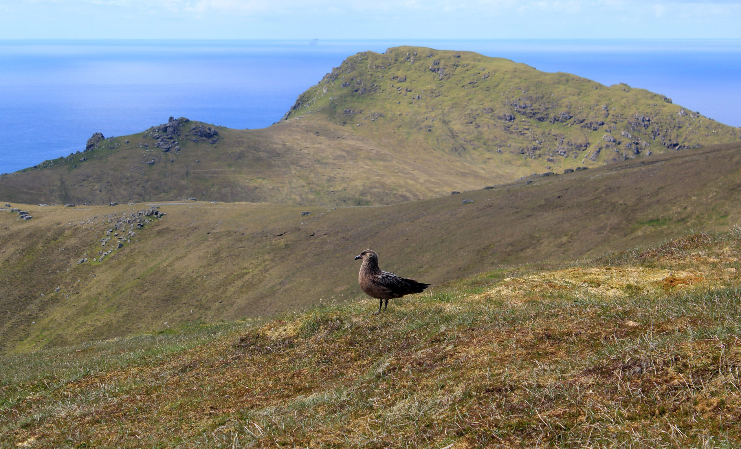 Island life:  St Kilda attracts around 5000 visitors a year.