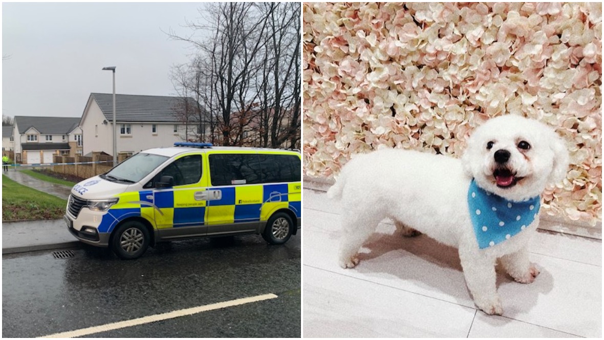 Gunmen who killed dog and injured walker admit murder bid shooting in Cumbernauld