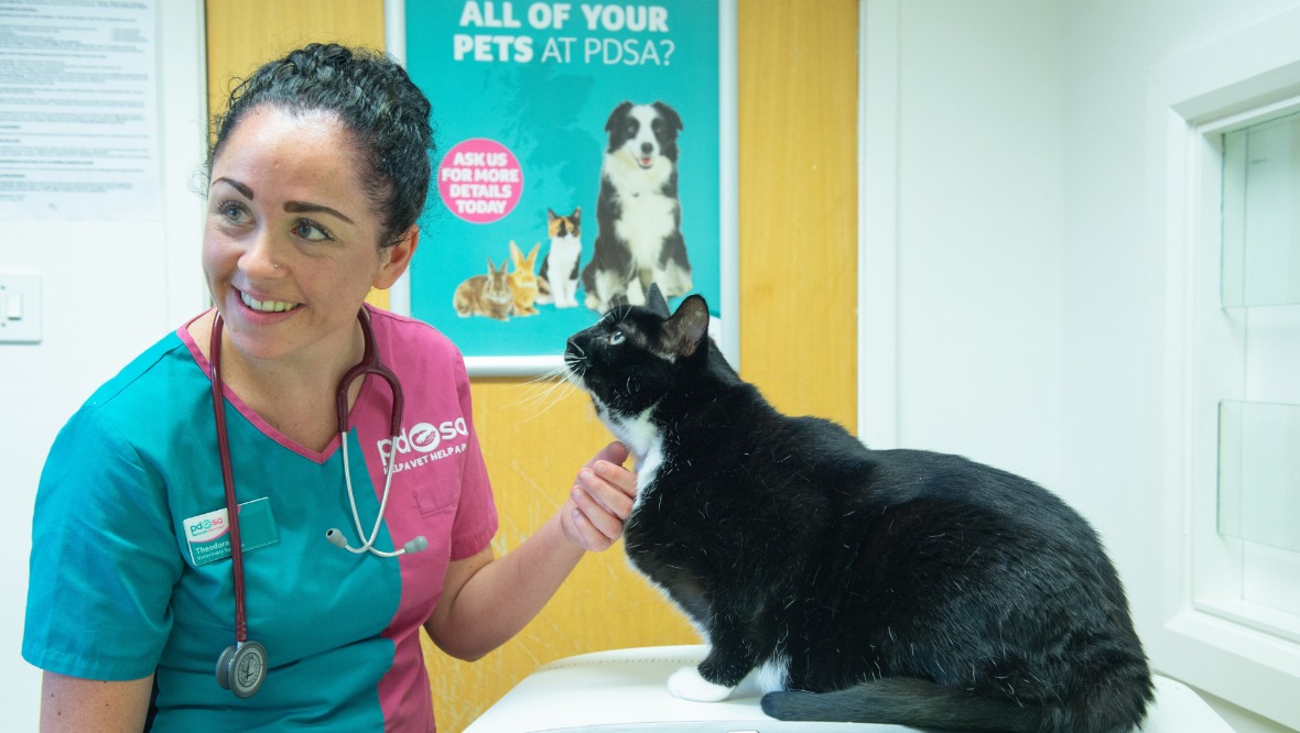 Pet fit club: Sox with PDSA staff