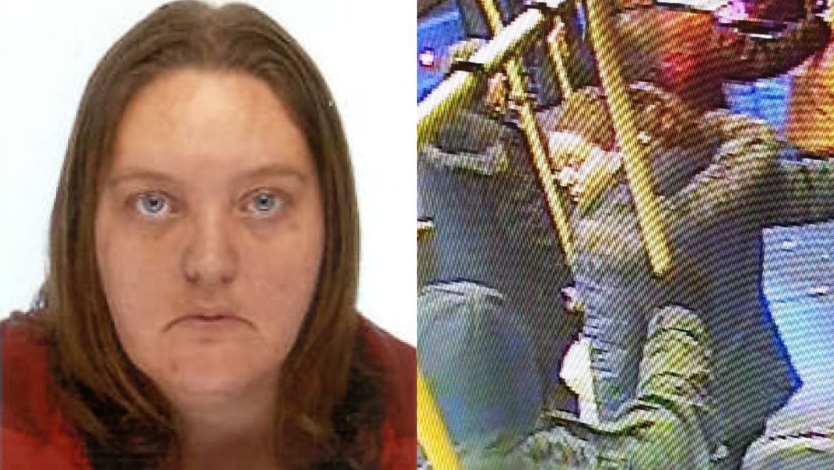 Search for missing woman who disappeared three days ago