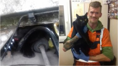 Six-hour rescue mission to save cat stuck in van’s engine