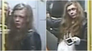 Woman wanted by police after man assaulted on train