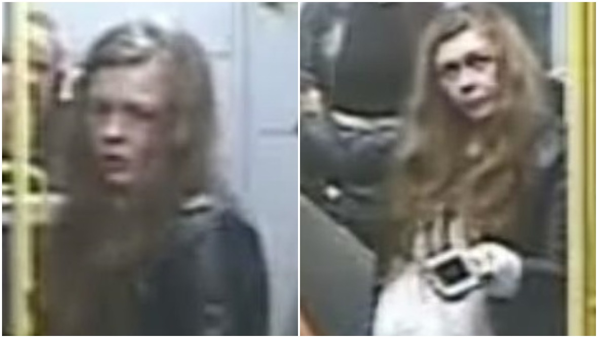 Woman wanted by police after man assaulted on train
