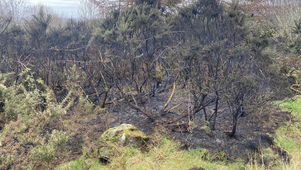 Blaze at beauty spot was ‘started deliberately’