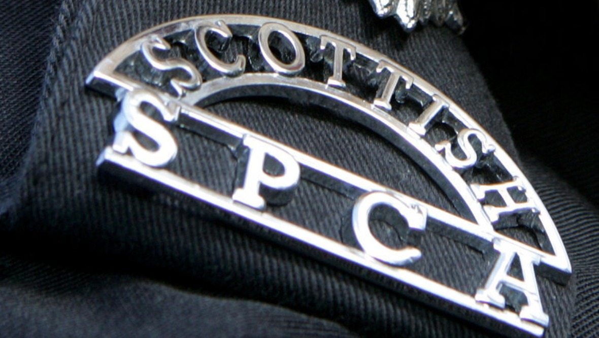 Public warned over bogus Scottish SPCA inspectors responding to ‘animal neglect reports’ in Cambuslang