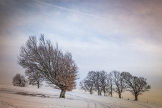 Snow storms and gusty winds to sweep across Scotland