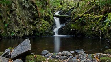 Tycoon’s Fairy Glen getaway purchased by Woodland Trust