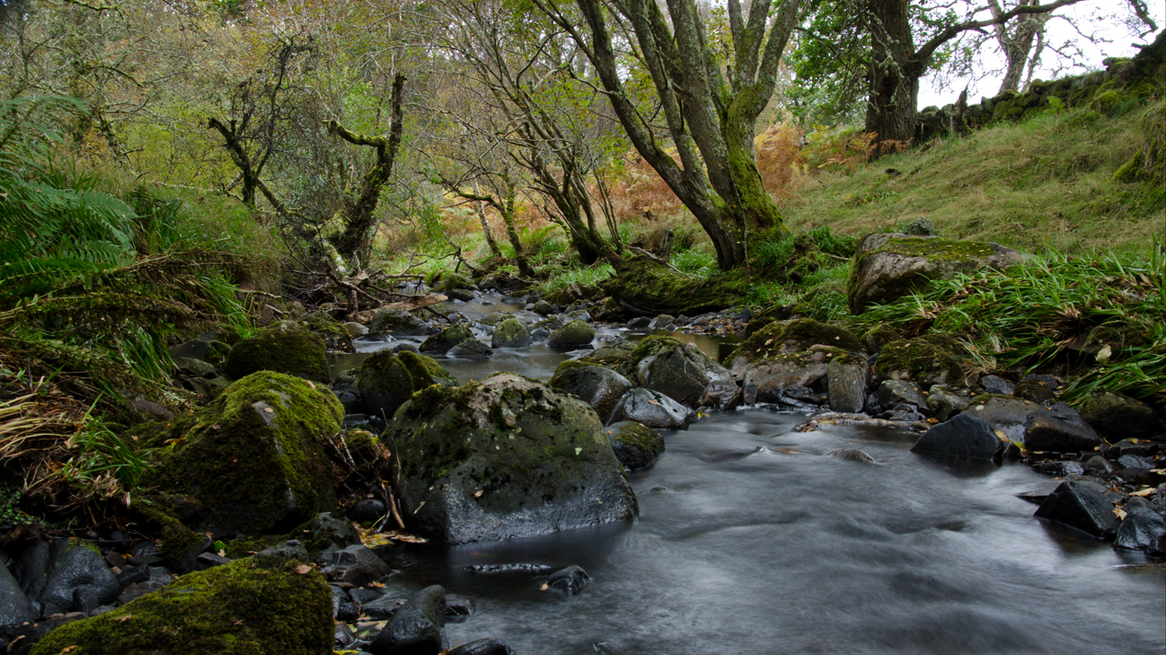 Scenic: The glen in Sutherland.