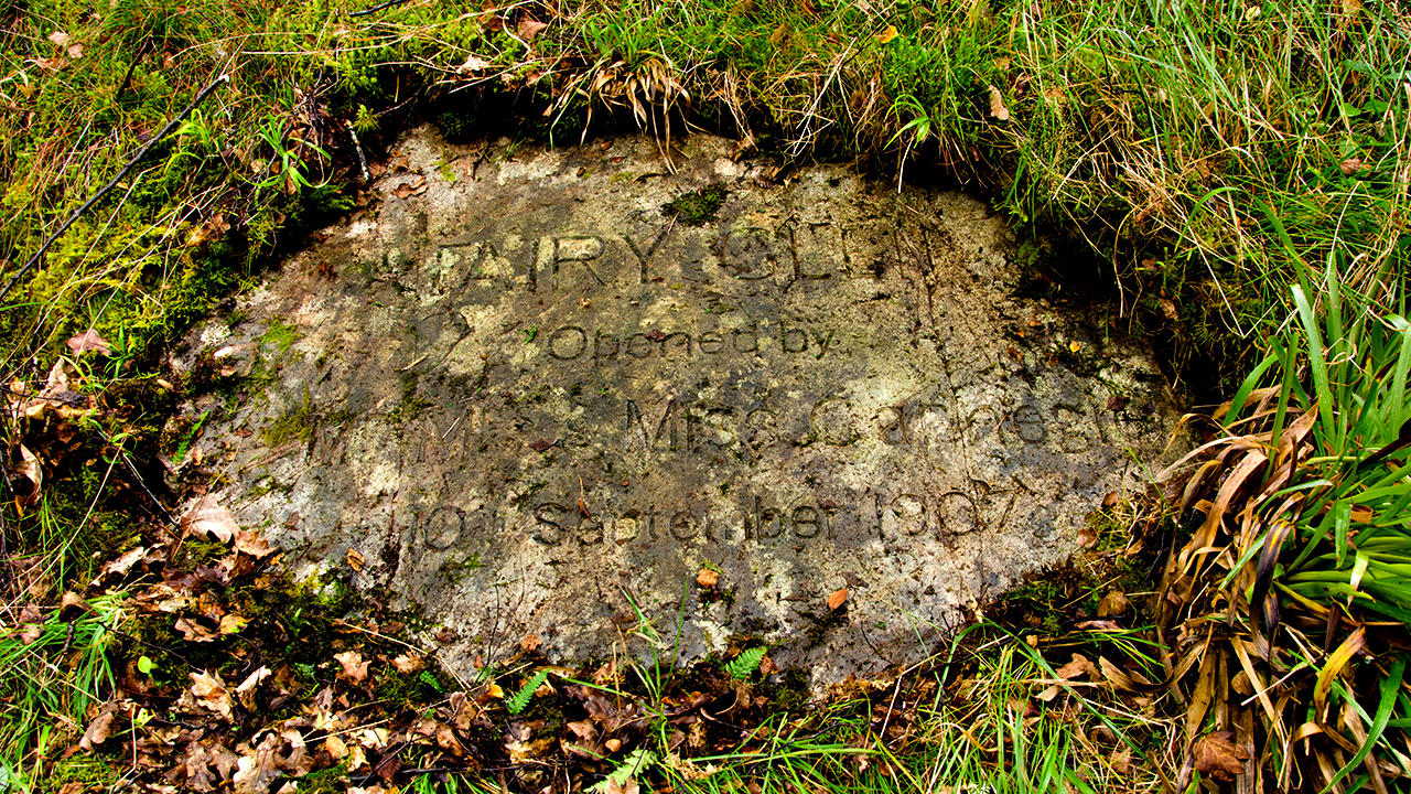 Woodland: The carved stone was unearthed last week.