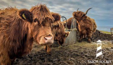 Scots photographer donates pictures to cheer up NHS wards
