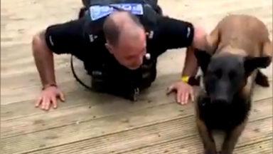 Police officer and service dog    share workout routine