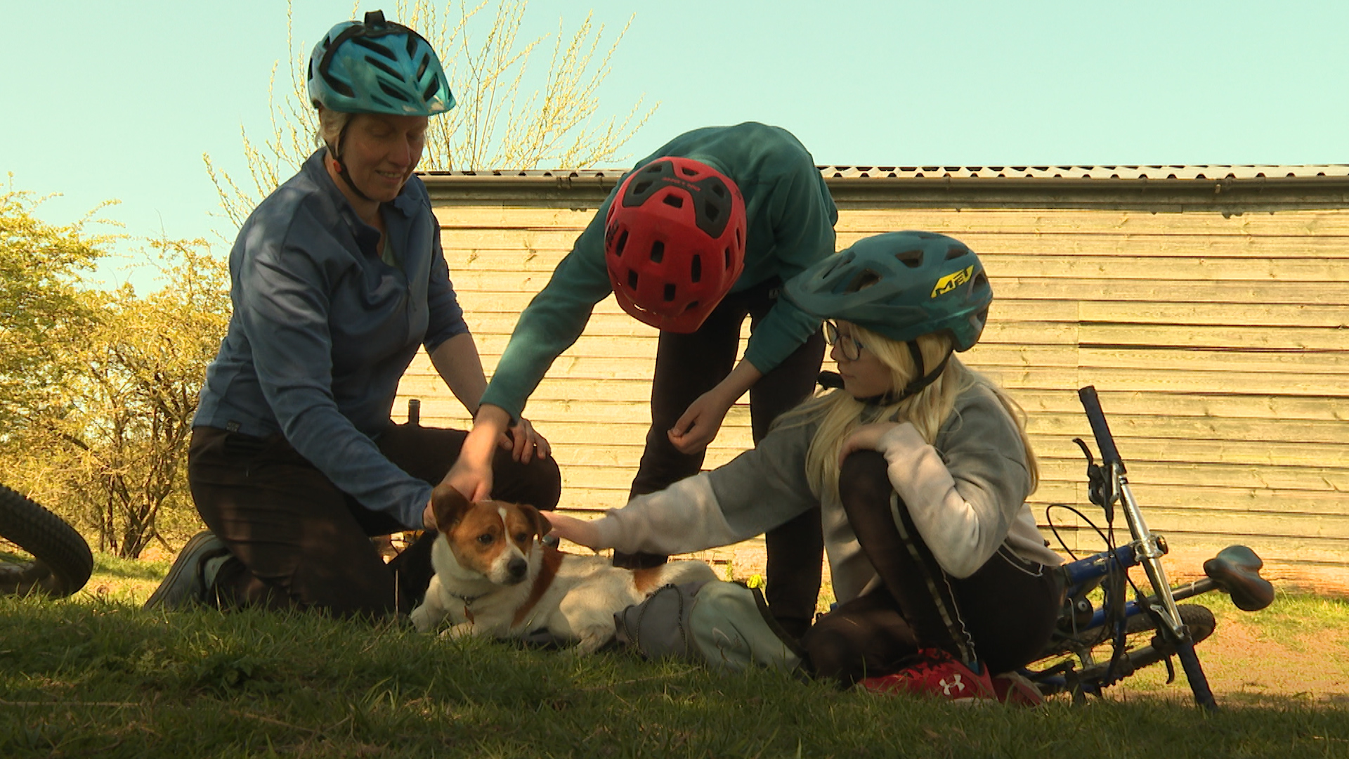 Family: Jack Russell Ozzy is having a ball.