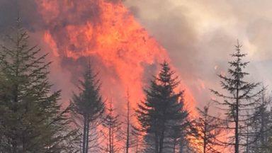 Crews continuing to tackle huge forest fire three days on