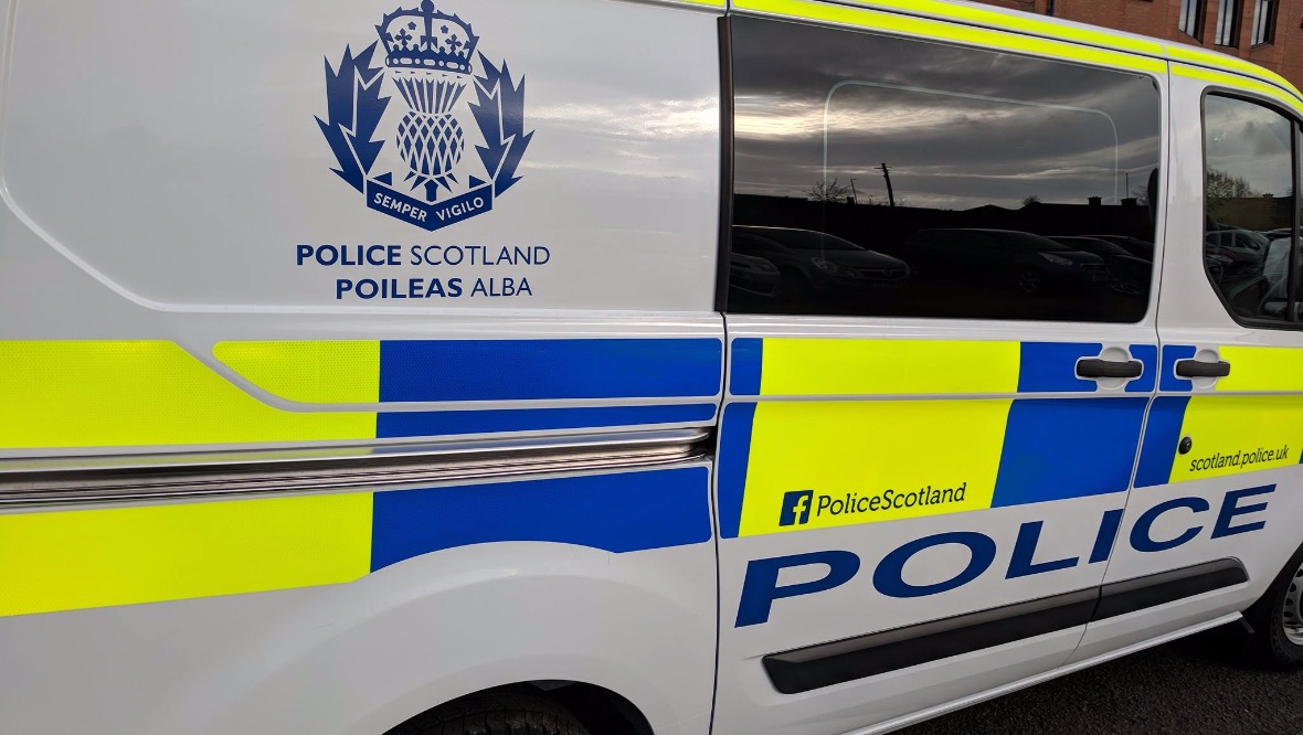 Sheep put down after dog attack as police hunt for owner in Forfar