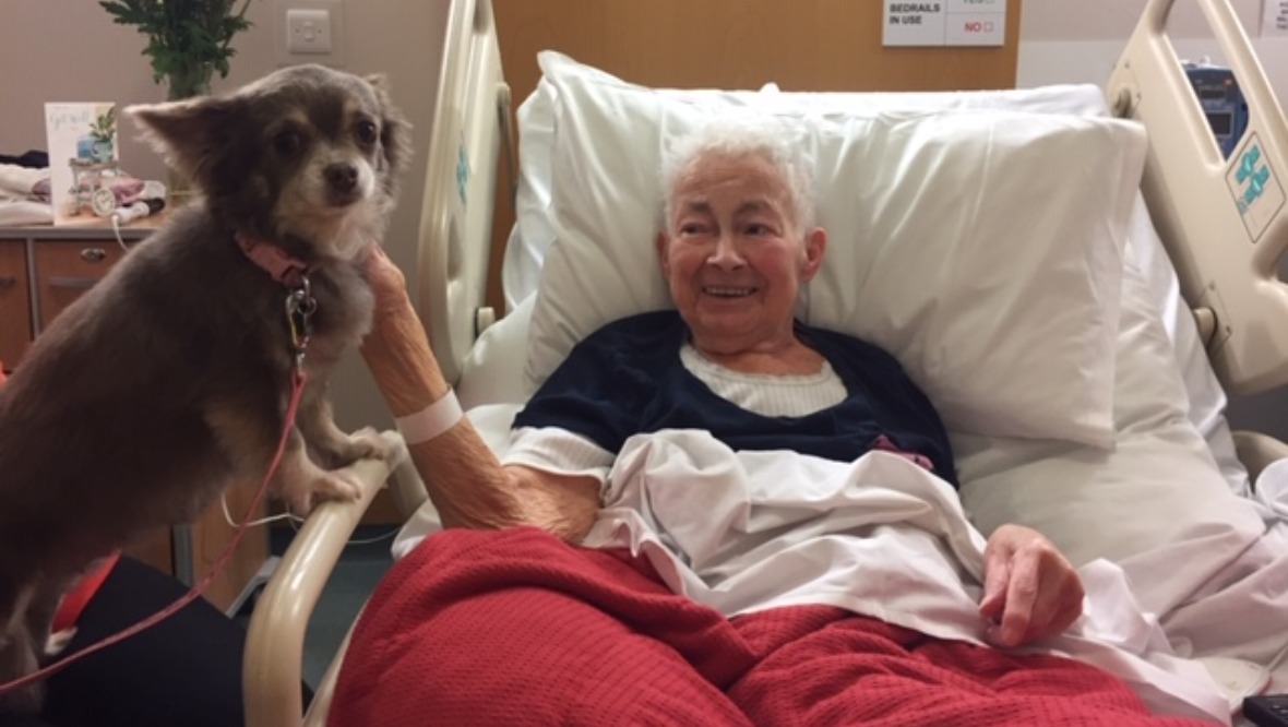 Reunited: Mavis and her dog Pippin