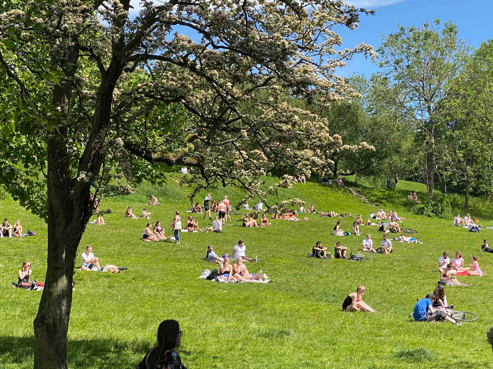 Sunbathers gather at Kelvingrove Park in Glasgow.