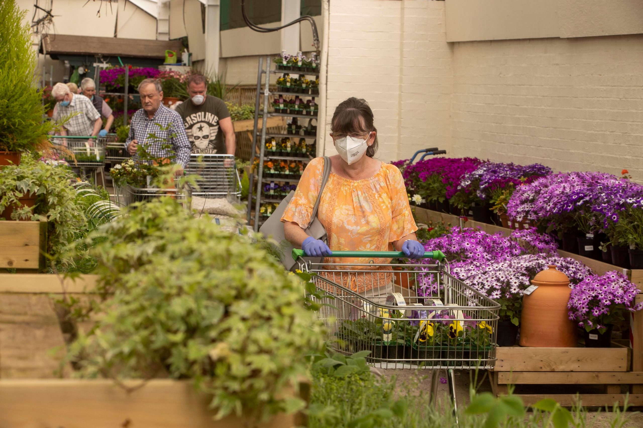 Shoppers browse plants at Cardwell in Gourock.