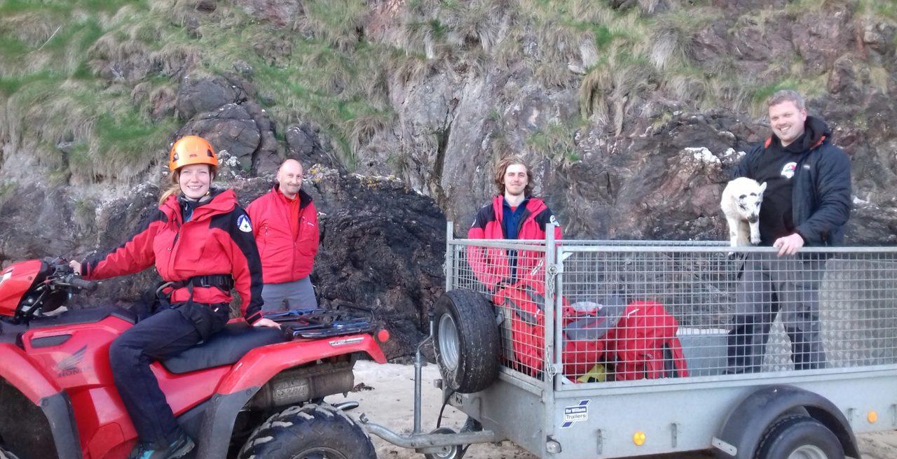 Cliff-side rescue mission saves trapped and injured lamb