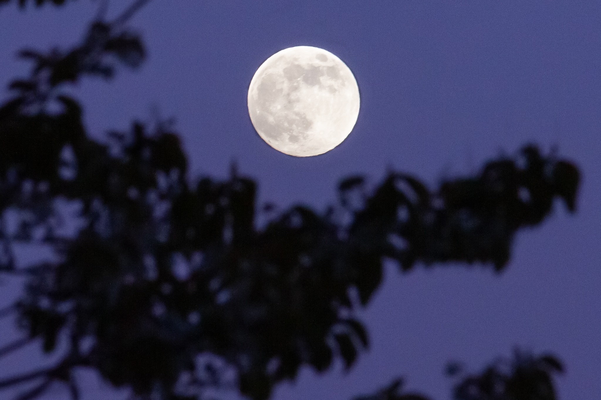 Purple haze: Kerry Crichton captured this cracker.