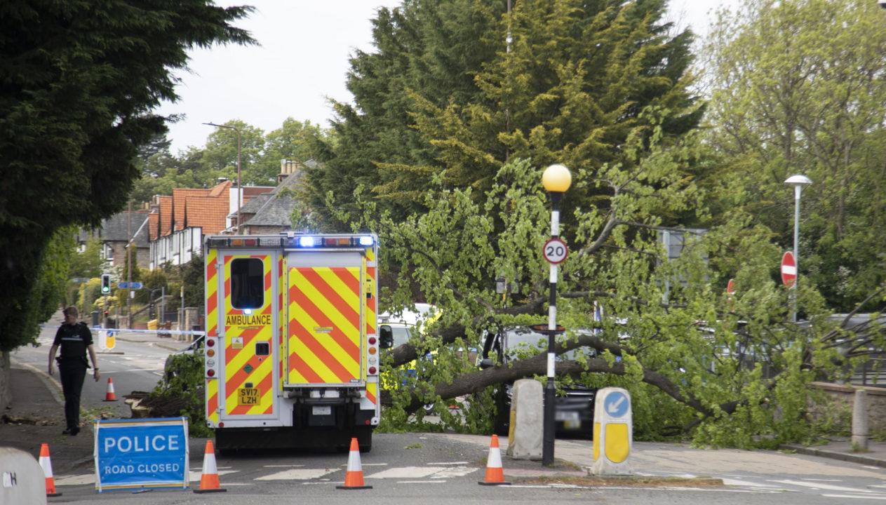 Black cab crushed by fallen tree closes road in Edinburgh