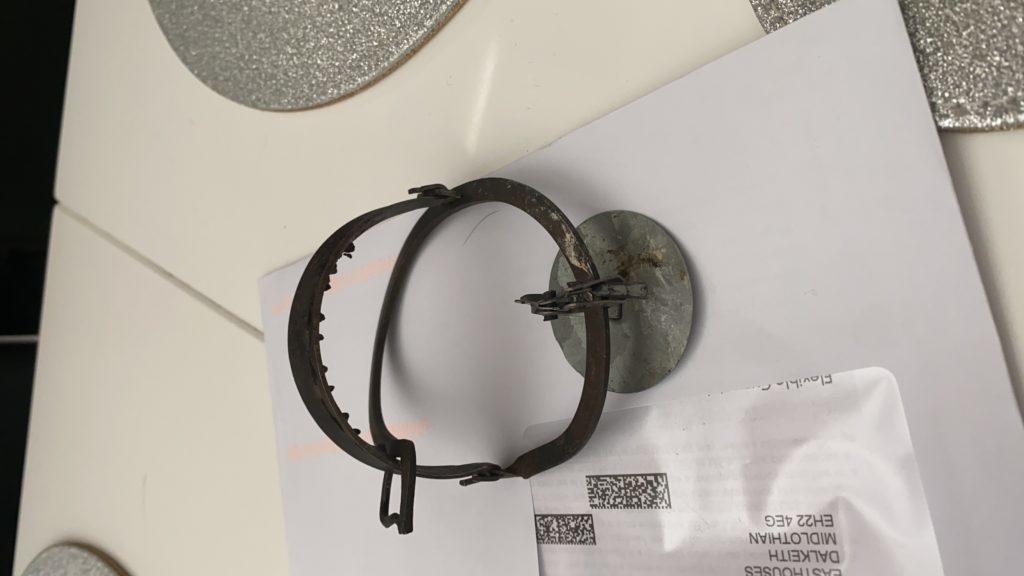 the crow trap review the crow trap review
