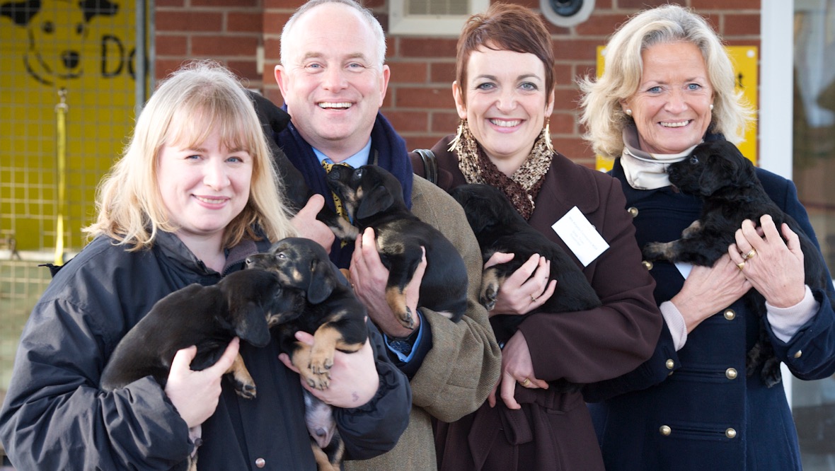 Amazing: Ms Tonner has rehomed more than 13,000 dogs during her 25 years at the centre.