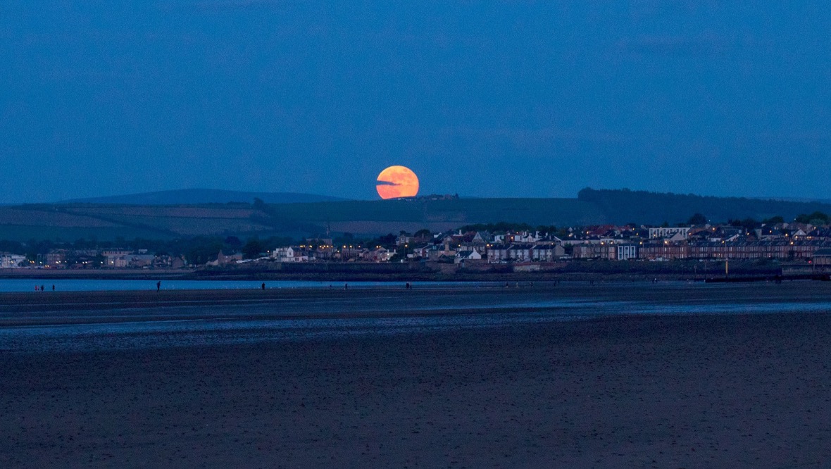 Pretty Portobello: Agnieszka Bartoszkiewicz sent us this picture.