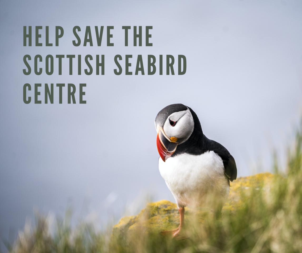 Appeal: The Scottish Seabird Centre has a fundraising target of £200,000.