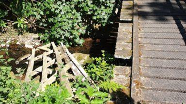 Appeal after wooden bridge at tourist hotspot vandalised