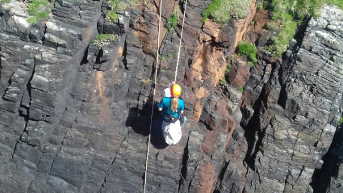 Rescue mission: The young sheep was removed from the coastal gorge.