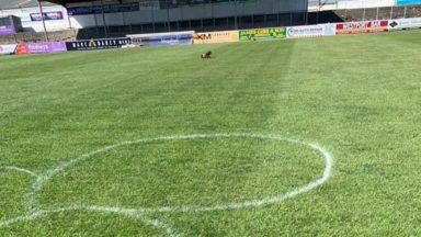 Arbroath FC ‘disappointed’ after vandals break into ground
