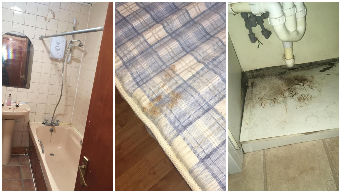 A flat provided by Mears had mould problems and a dirty mattress.