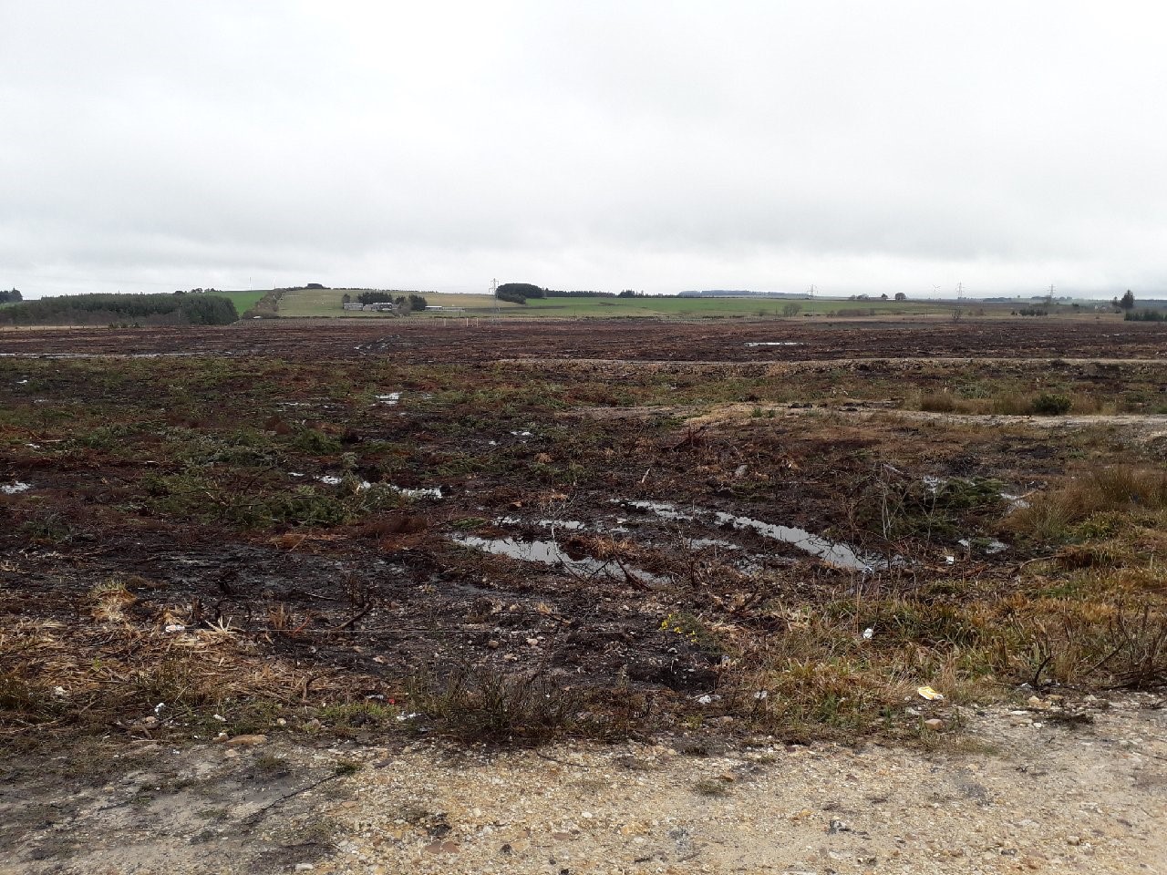 Peatland: Plans to restore the site began in 2014.