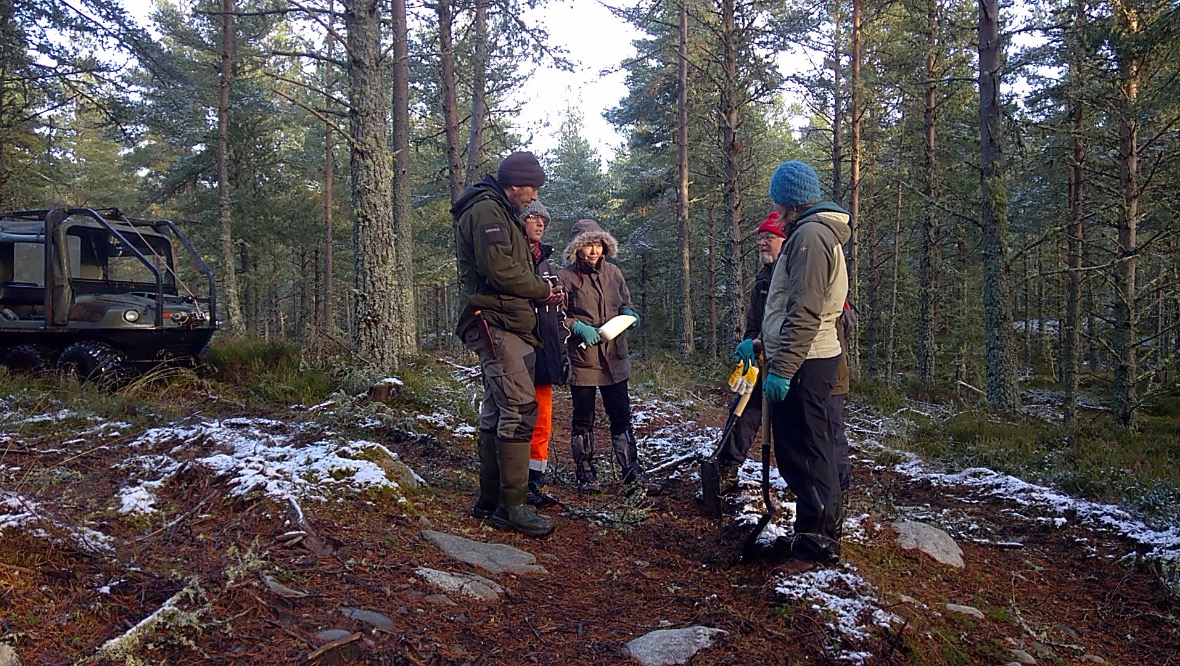 Gamekeeper: Ewan Archer with a local capercaillie group in Deshar Woods, Boat of Garten.