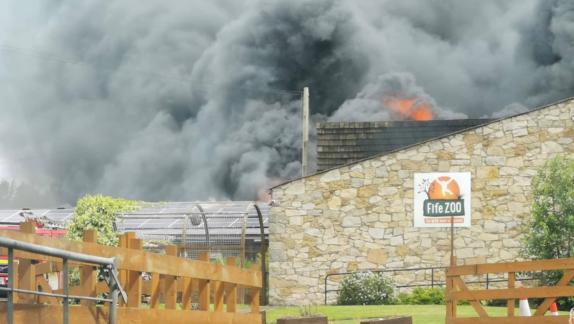 Animals and staff safe after blaze breaks out at Fife Zoo