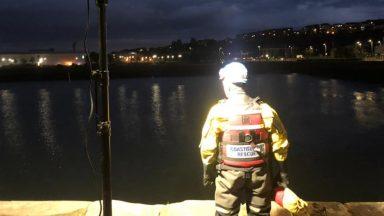 Pod of whales stuck in harbour sparks coastguard response