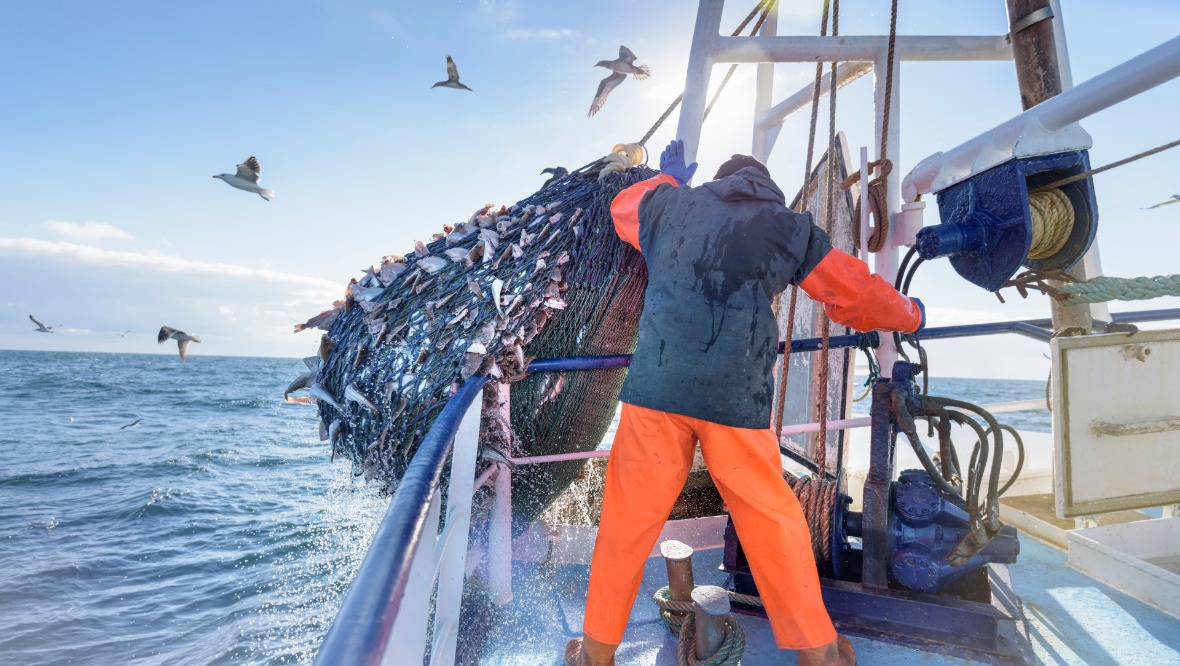 UK Government ‘in denial’ about issues facing fish exporters
