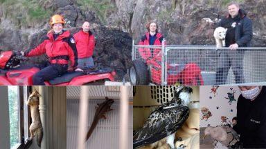 Scottish SPCA reveals unusual animal rescues during lockdown