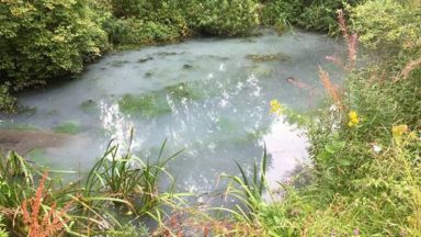 Residents urged to check drains after contamination of ponds