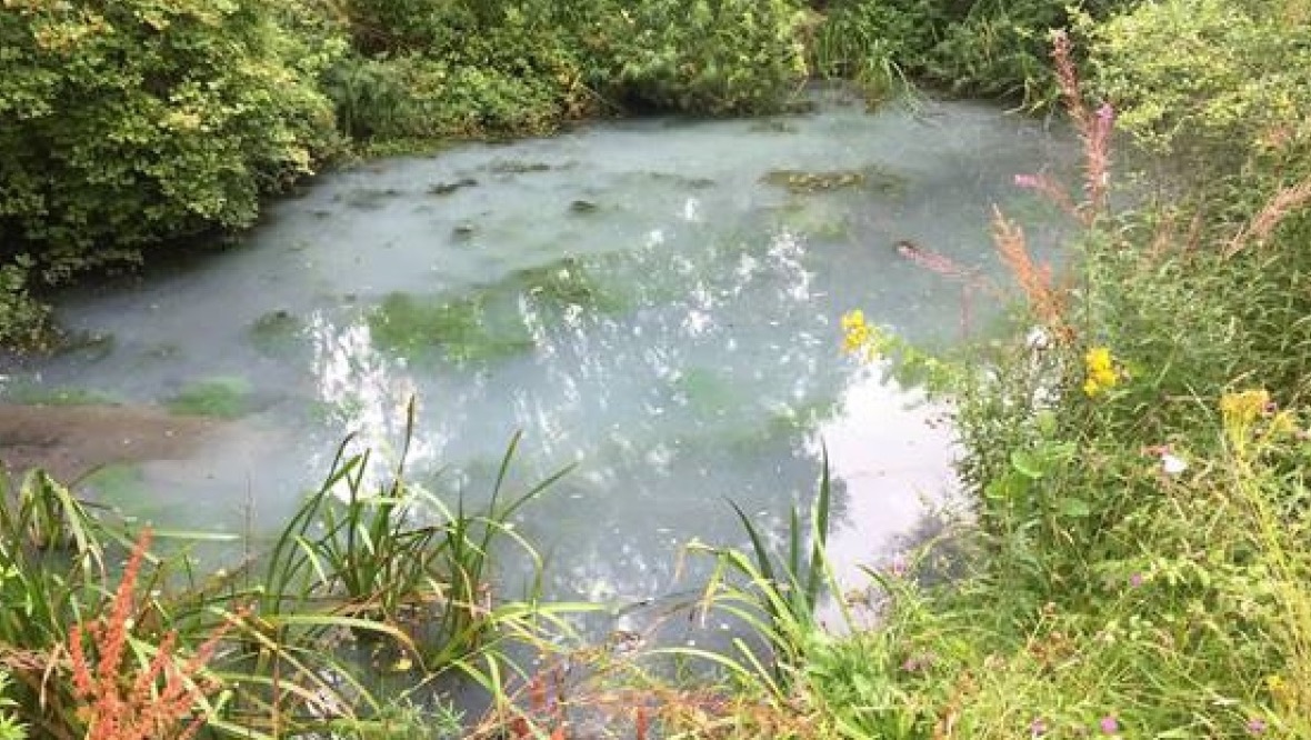 Residents urged to check drains after contamination of ponds