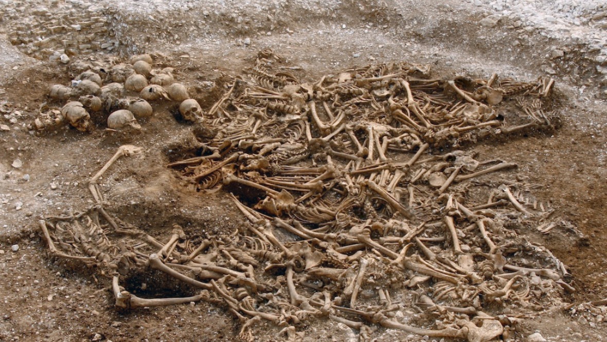 A mass grave of around 50 headless vikings from a site in Dorset, UK. <br><strong>Image credit:</strong> Dorset County Council/Oxford Archaeology.”/><cite class=cite></cite></div><figcaption aria-hidden=true>A mass grave of around 50 headless vikings from a site in Dorset, UK. <br><strong>Image credit:</strong> Dorset County Council/Oxford Archaeology. <cite class=hidden></cite></figcaption></figure><p>The project, published in Nature on Wednesday, found that many vikings had brown hair not blonde and the genetic history of Scandinavia was influenced by genes from Asia and Southern Europe before the Viking Age.</p><p>Professor Eske Willerslev, a Fellow of St John’s College, University of Cambridge and director of The Lundbeck Foundation GeoGenetics Centre, University of Copenhagen, led the study.</p><p>He said: “We have this image of well-connected vikings mixing with each other, trading and going on raiding parties to fight Kings across Europe because this is what we see on television and read in books – but genetically we have shown for the first time that it wasn’t that kind of world.</p><p>“This study changes the perception of who a viking actually was – no one could have predicted these significant gene flows into Scandinavia from Southern Europe and Asia happened before and during the Viking Age.”</p><p>While there was not a word for Scandinavia during the Viking Age, the study shows that the vikings from what is now Norway travelled to Ireland, Scotland, Iceland and Greenland.</p><p>The vikings from what is now Denmark travelled to England and vikings from what is now Sweden went to the Baltic countries on their all-male raiding parties, the scientists suggest.</p><p>The study suggests that the genetic legacy of the Viking Age lives on today, with 6% of people in the UK population predicted to have viking DNA in their genes, compared to 10% in Sweden.</p><p>Prof Willerslev concluded: “The results change the perception of who a viking actually was. The history books will need to be updated.”</p><p>The word viking comes from the Scandinavian term “vikingr”, meaning pirate.</p><p>The Viking Age generally refers to the period from 800 AD, a few years after the earliest recorded raid, until the 1050s, a few years before the Norman Conquest of England in 1066.</p><div class=