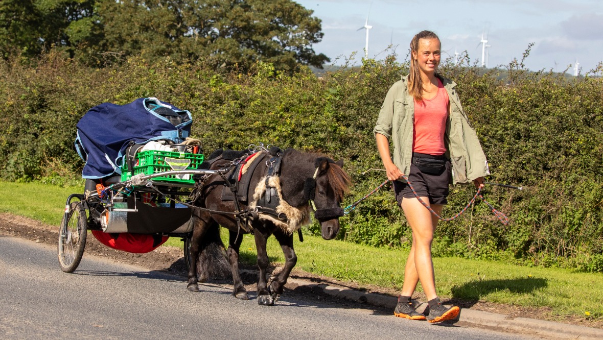 Student walks pony from Germany to Dundee to save on travel