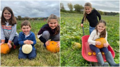 Squash goals: Kids grow bumper pumpkin patch during lockdown