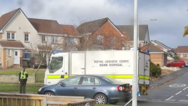 Bomb squad called after grenade found inside house