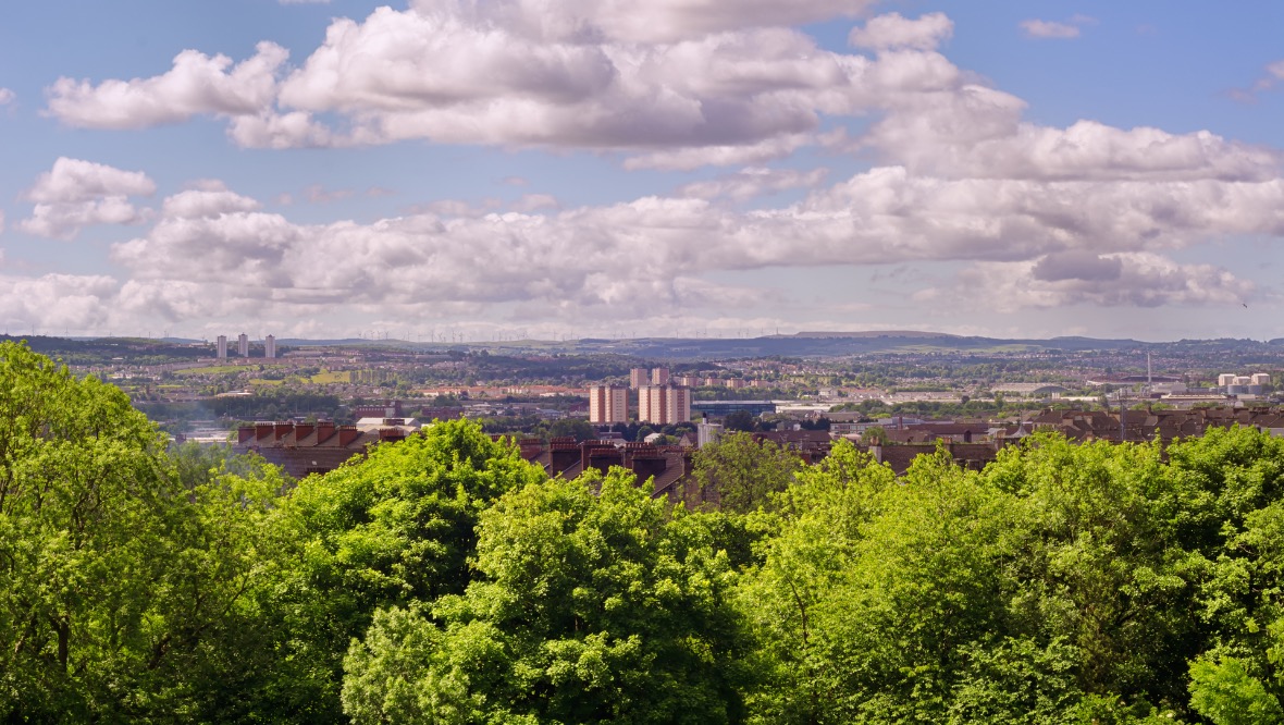 Residents can now buy trees as gifts to be planted across Glasgow in new council initiative