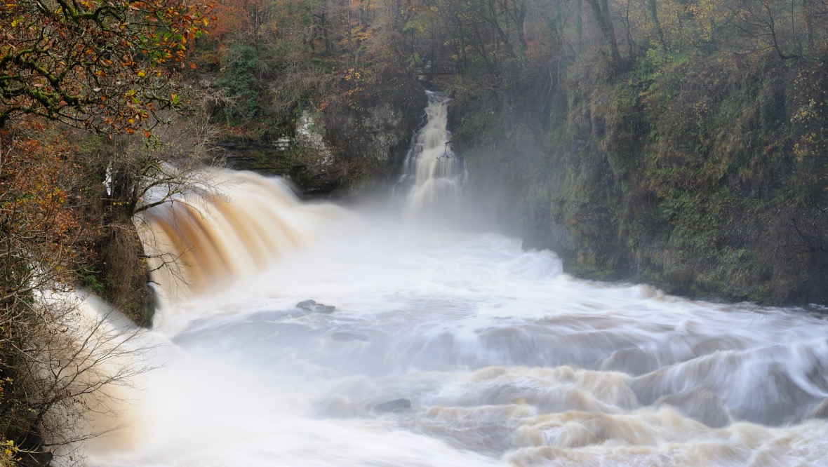 Bonnington Linn: Clyde Valley Woodlands National Nature Reserve.