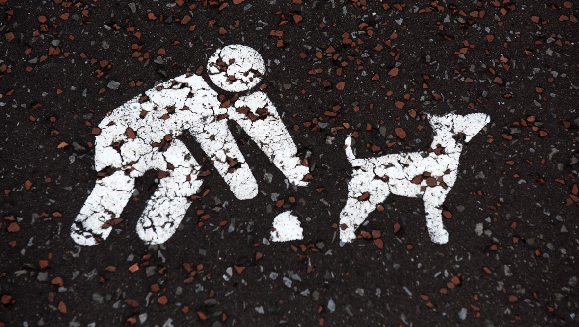 Dog walkers dodge fines for failing to pick up pet mess