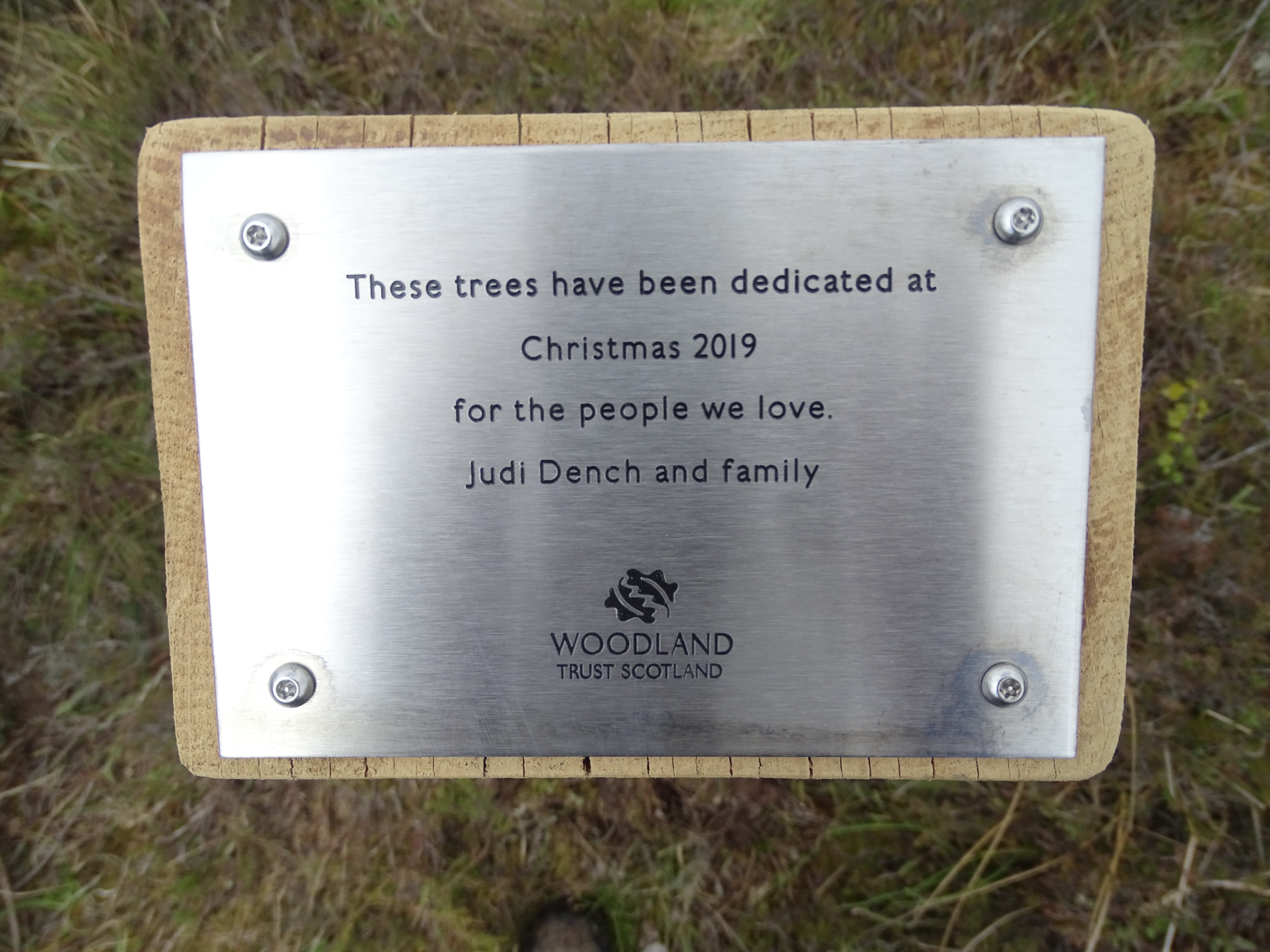 Woodland Trust: The dedication plaque at the site. 